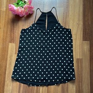 Express Black and Blue Backless Camisole Polka Dot